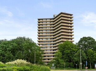 Albardaweg 43