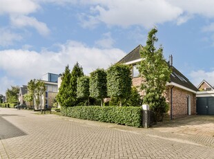 Goofystraat 9