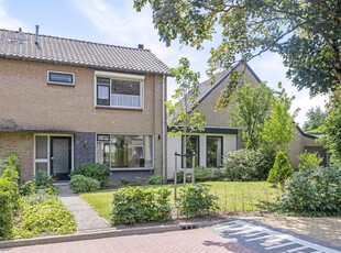 Zandsedwarsstraat 8