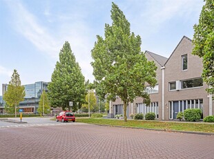 Zuidland 5