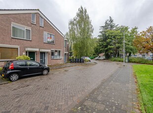 Zevenoord 44