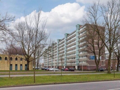 Androsdreef in Utrecht (91m2)