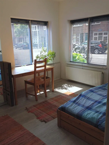 Appartement te huur Esdoornstraat, Utrecht