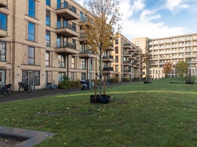 Elfendansstraat in Amsterdam (73m2)