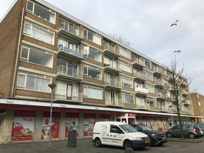 Heymansstraat in Rotterdam (70m2)