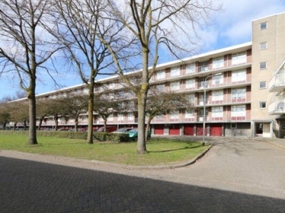 Predikherenlaan in Tilburg (75m2)