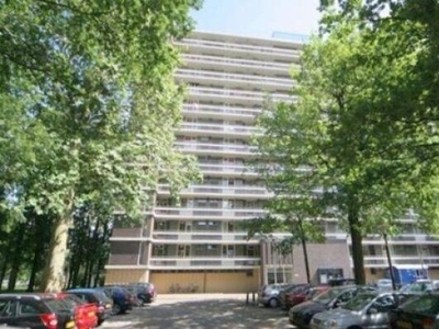 Rachmaninoffplantsoen in Utrecht (85m2)