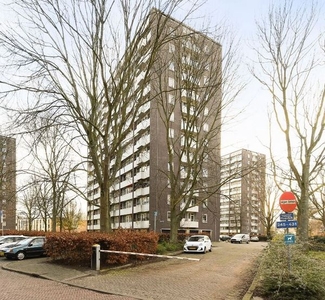 Roggekamp in Den Haag (32m2)