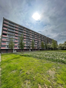 Trekvogelweg in Amersfoort (101m2)