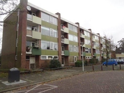 Van Banchemhof in Leiden (61m2)