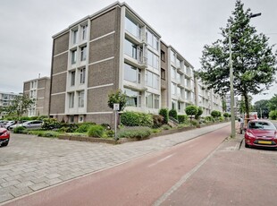 Aaltje Noordewierstraat 69, 's