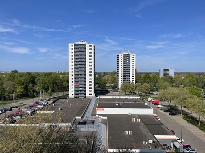 Kalmoesstraat in Apeldoorn (93m2)