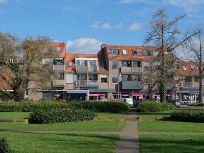 Lisdodde in Almelo (48m2)