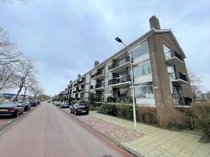 Appartement in Leiden met 4 kamers