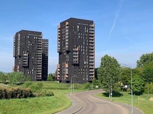 Portiekflat Dirk Hartogstraat, Breda huren?