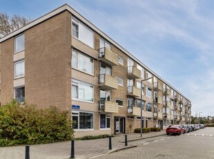 Van Opbergenstraat 14, Rotterdam