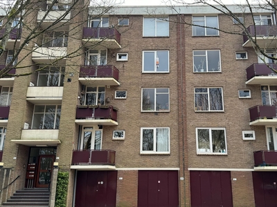 Bauerstraat 31 -3