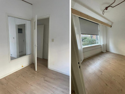 Benedenwoning te huur in Schiedam