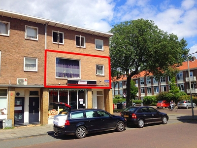 Groene Weide in Arnhem (45m2)