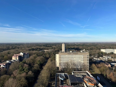 Professor de Moorplein in Tilburg (61m2)