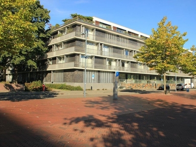 Stadstuinen in Amstelveen (130m2)