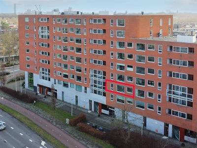 Van Esveldstraat 203 +PP