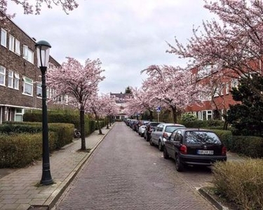 Van Swinderenstraat in Groningen (85m2)