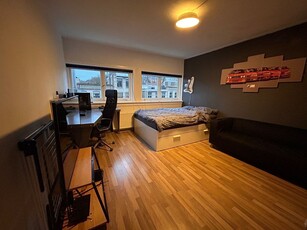 Appartement te huur Hommelseweg, Arnhem