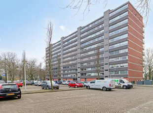 P.J. Oudstraat 262