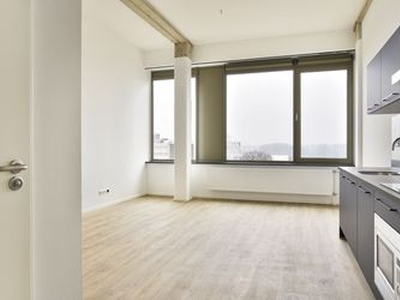 Huur 1 slaapkamer appartement van 24 m² in Arnhem