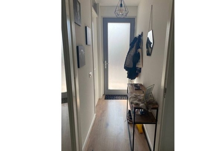 Huur 1 slaapkamer appartement van 50 m² in Tilburg