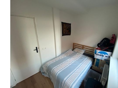 Huur 2 slaapkamer appartement van 45 m² in Groningen