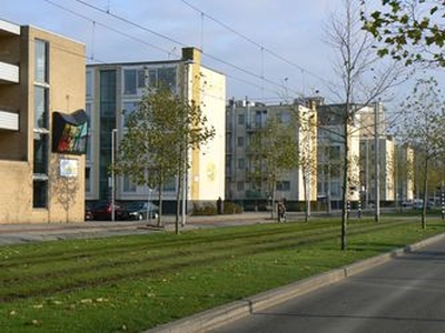 Huur 2 slaapkamer appartement van 46 m² in Rotterdam