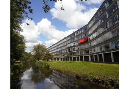 Huur 4 slaapkamer appartement van 80 m² in Den Haag