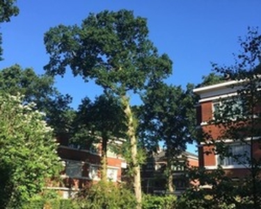 Apartment te huur in Groningen