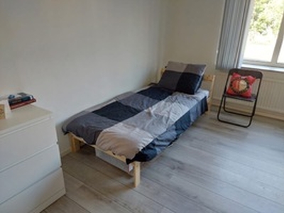 Apartment te huur in Heerlen