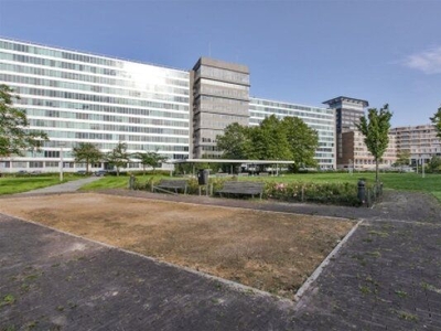 Bos en Lommerplantsoen in Amsterdam (30m2)