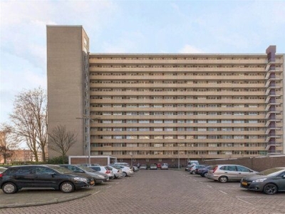 Langswater in Amsterdam (61m2)