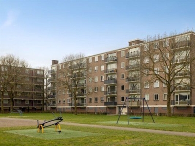 Maassingel in 's-Hertogenbosch (66m2)