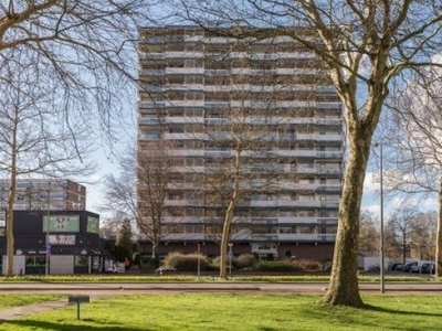 Sterrenburgplein in Dordrecht (66m2)