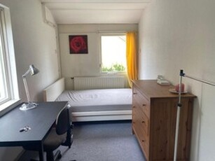 Apartment te huur in Groningen