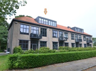 Appartement in Leeuwarden met 3 kamers