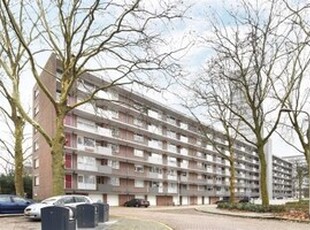 Appartement te huur in Tilburg