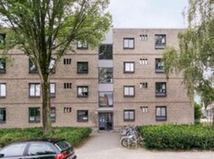 Appartement te huur in Tilburg