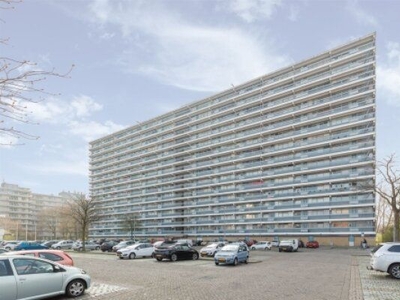 Hemingwayplaats in Rotterdam (85m2)