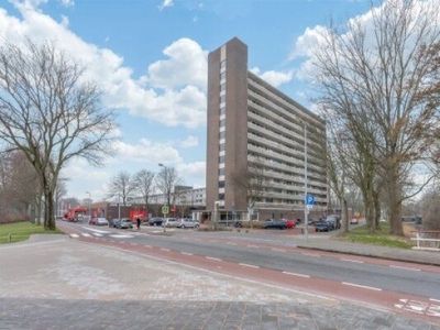 Judith Leysterstraat in Alkmaar (65m2)