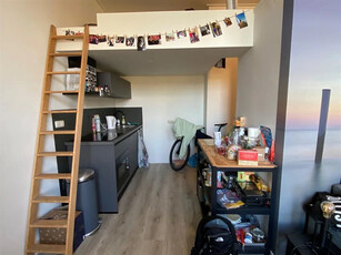 Appartement te huur Zuiderpark, Groningen