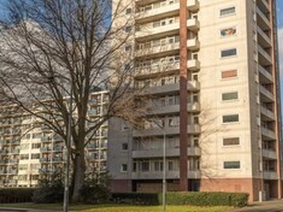 Appartement te huur in Haarlem