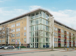 Aalbersestraat 218