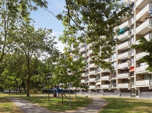 Appartement in Leiden met 3 kamers